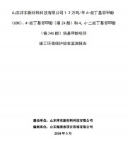 山東祥東新材料科技有限公司1.2萬(wàn)噸/年6-叔丁基鄰甲(60K)、4-叔丁基鄰甲酚(偏 24 酚)和 4，6-二叔丁基鄰甲酚(偏 246 酚)烷基甲酚項(xiàng)目竣工環(huán)境保護(hù)驗(yàn)收監(jiān)測(cè)報(bào)告